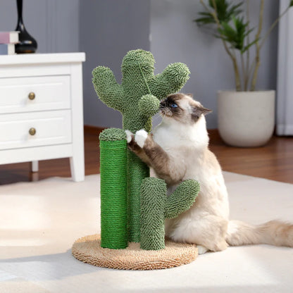 Prize-Winning Scratching Cactus: The Clawing Cactus