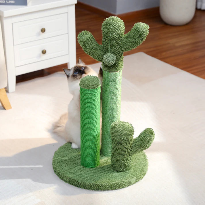 Prize-Winning Scratching Cactus: The Clawing Cactus