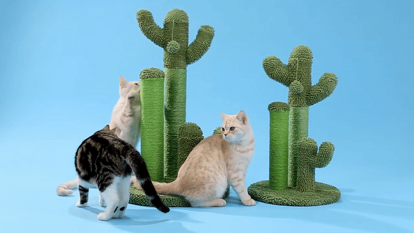 Prize-Winning Scratching Cactus: The Cactus Cat Tower